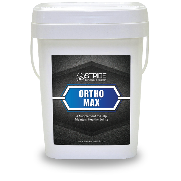 Bone + Joint (old name Orthomax) – BitsNSuch