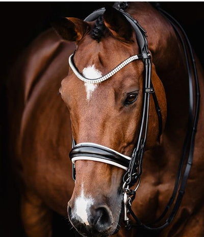 Bella Rose Double Bridle