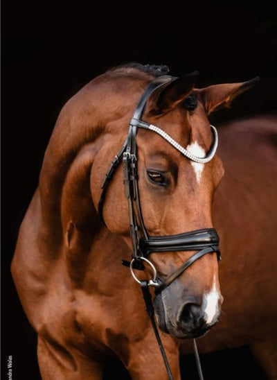 Johnny Snaffle Bridle