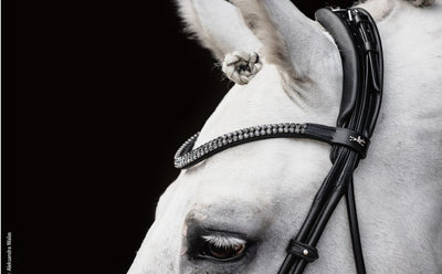 Satchmo Snaffle Bridle