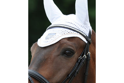 Passier Browband with Stainless Steel Clincher