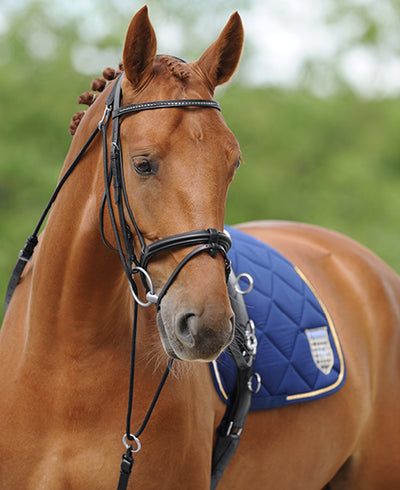 Passier Horst Becker Gymnastic Reins