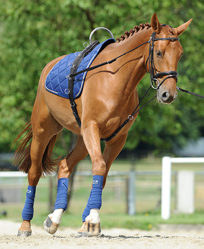 Passier Horst Becker Gymnastic Reins