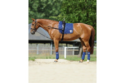 Passier Horst Becker Gymnastic Reins