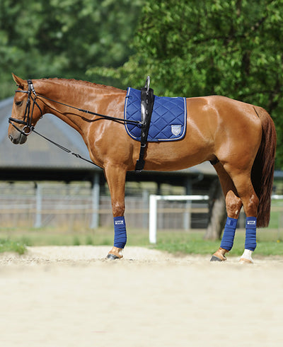 Passier Horst Becker Gymnastic Reins