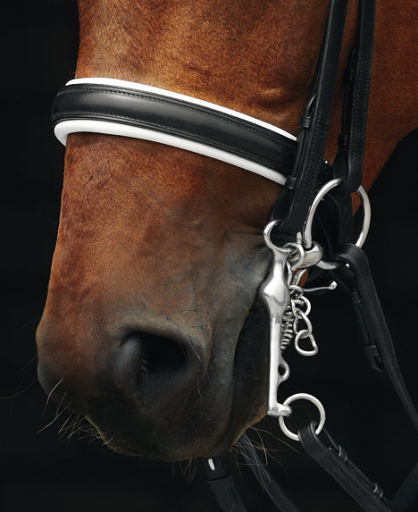 Passier Exchangeable Caveson Special Noseband