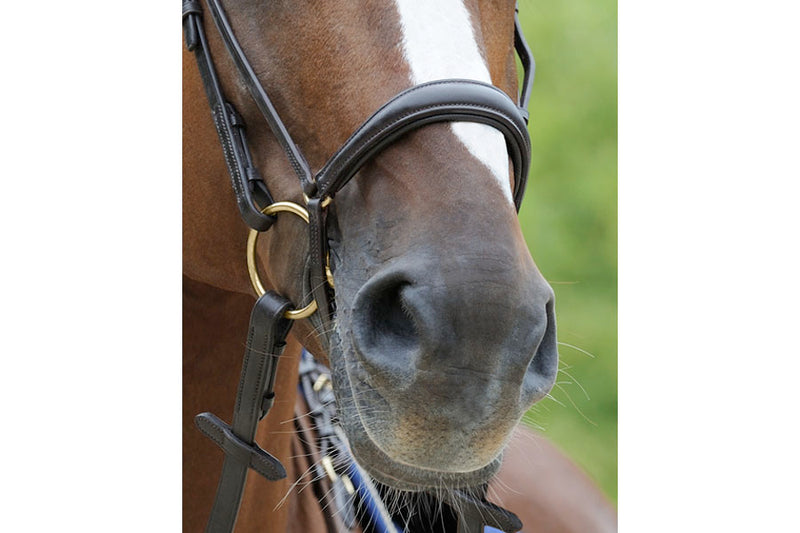 Passier Exchangeable Dropped Noseband