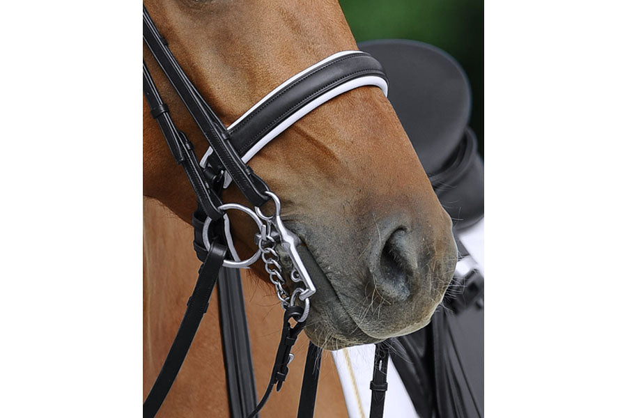 Passier Exchangeable Caveson Special Noseband