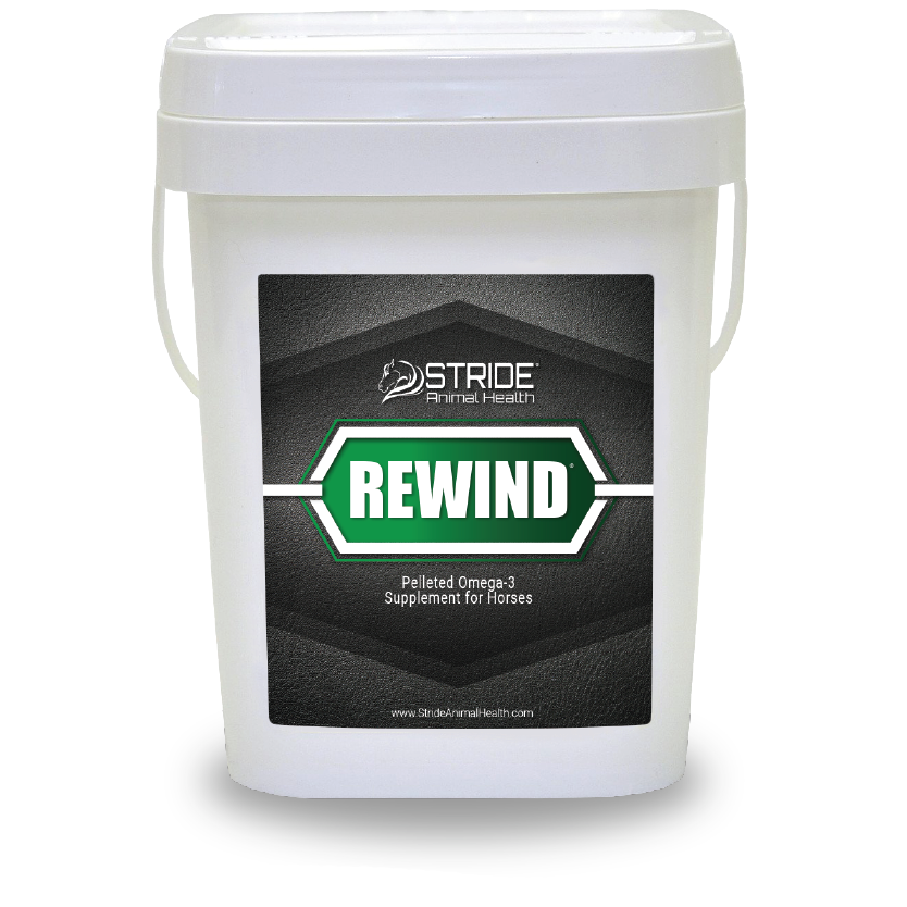 rewind pelleted omeg-3 supplement for horses, stride animal health