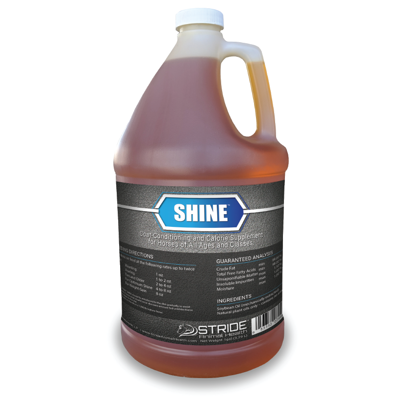 Shine coat-conditioning and calorie supplement for horses of all ages and classes, stride animal health