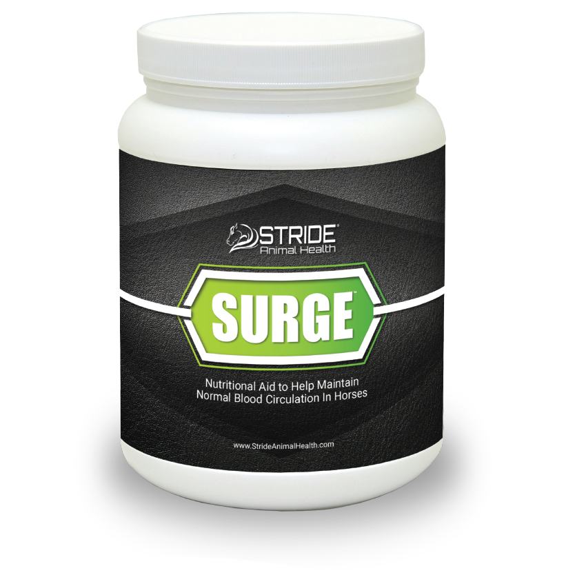 Surge, nutritional aid to help maintain normal blood circulation in horses, stride animal health