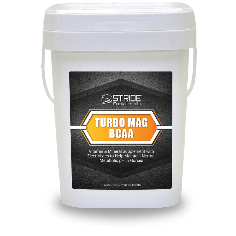 turbo mag bcaa, stride animal health, electrolyte and branch chain amino acid supplement for horses