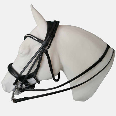 Andros, Andros double bridle, TCS, Tota Comfort Systmes,bridle,double bridle 
